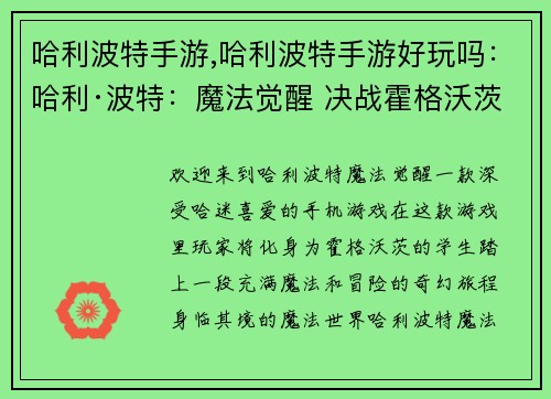 哈利波特手游,哈利波特手游好玩吗：哈利·波特：魔法觉醒 决战霍格沃茨